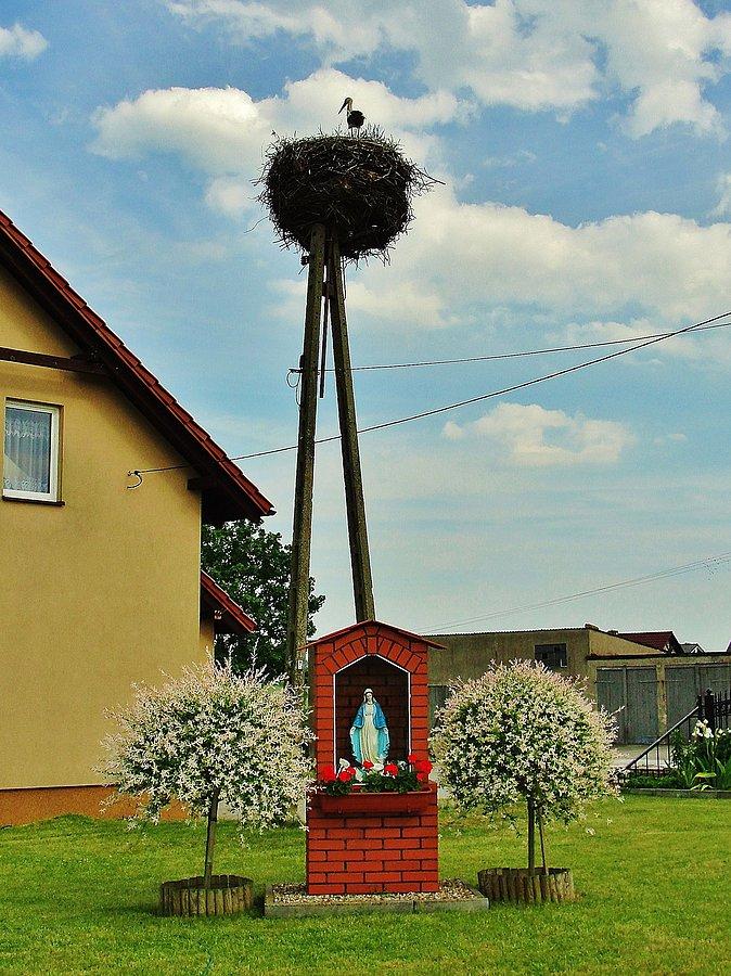 Na trasie wycieczki. Wracam di domu. Lubiszewo