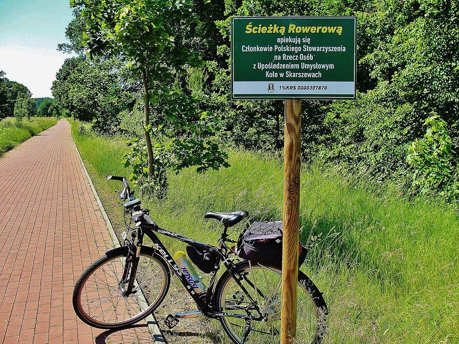 Na trasie wycieczki.Ścieżka rowerowa prowadzi nad jezioro w Borównie