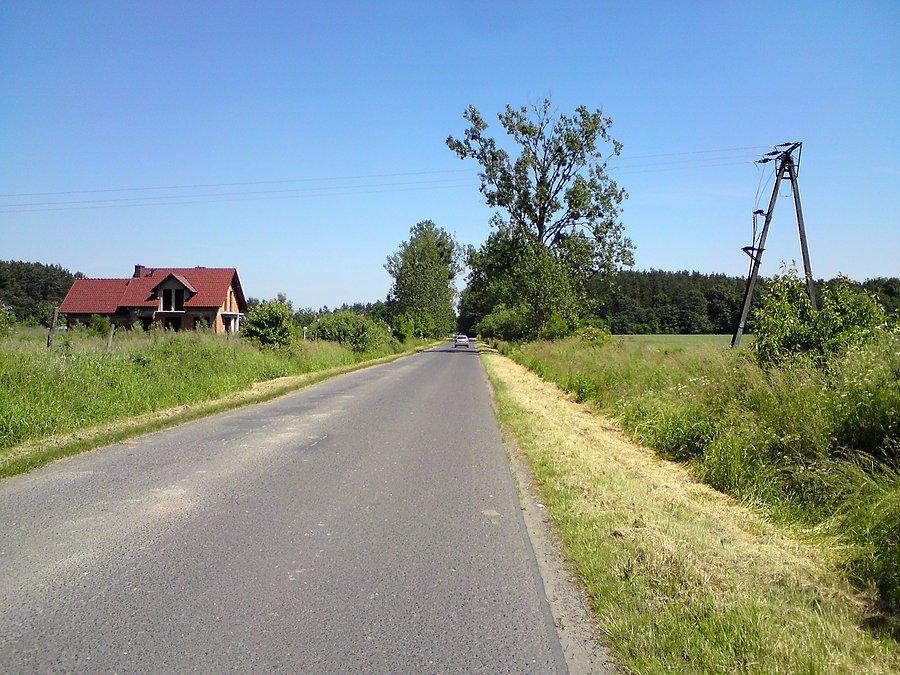 Droga w kierunku na Florydę i dalej na Czepielowice