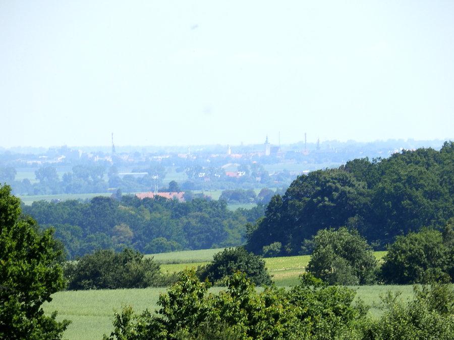 Widok na Oleśnicę