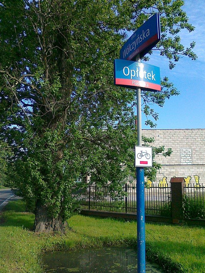 Nie miałam dziś ochoty jeździć po opłotkach, wybrałam Wólczyńską