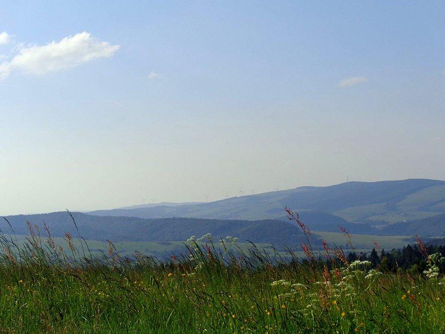 Wiatraki w okolicach Bukowska