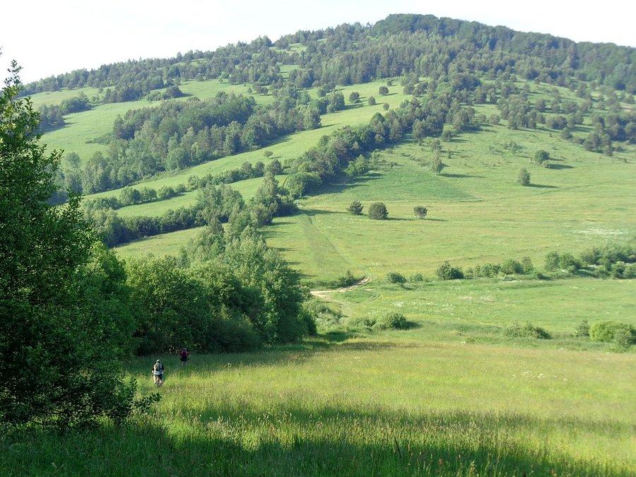 Ta kiepa czeka na nas...Suliła