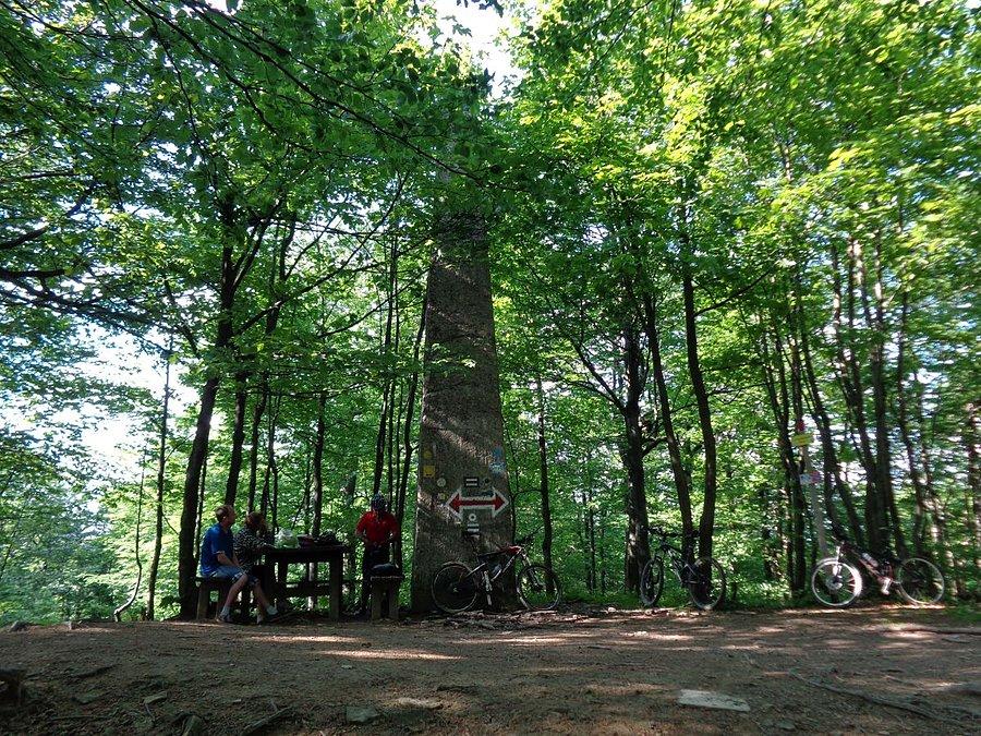 Chryszczata zdobyta 997 m .n.p.m