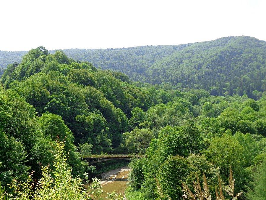 Kolej wąskotorowa...nieczynna
