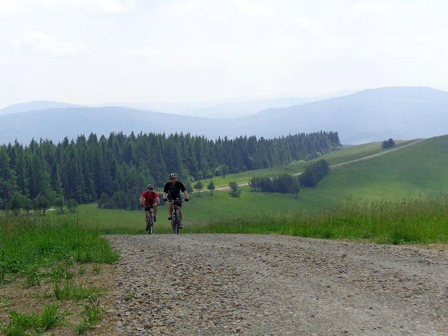 Towarzysze wyprawy