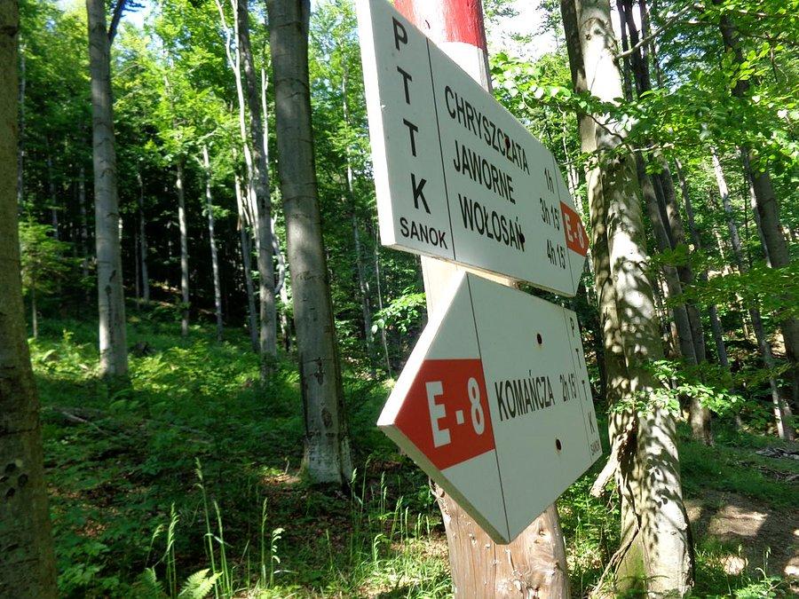 Gdzie tera ?