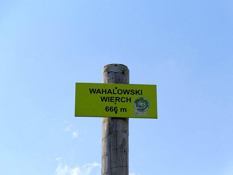 Oznakowanie teamowe Trolllo :)