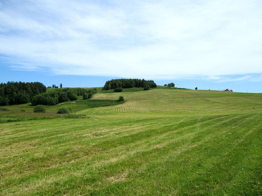 Okolice Kożyczkowa