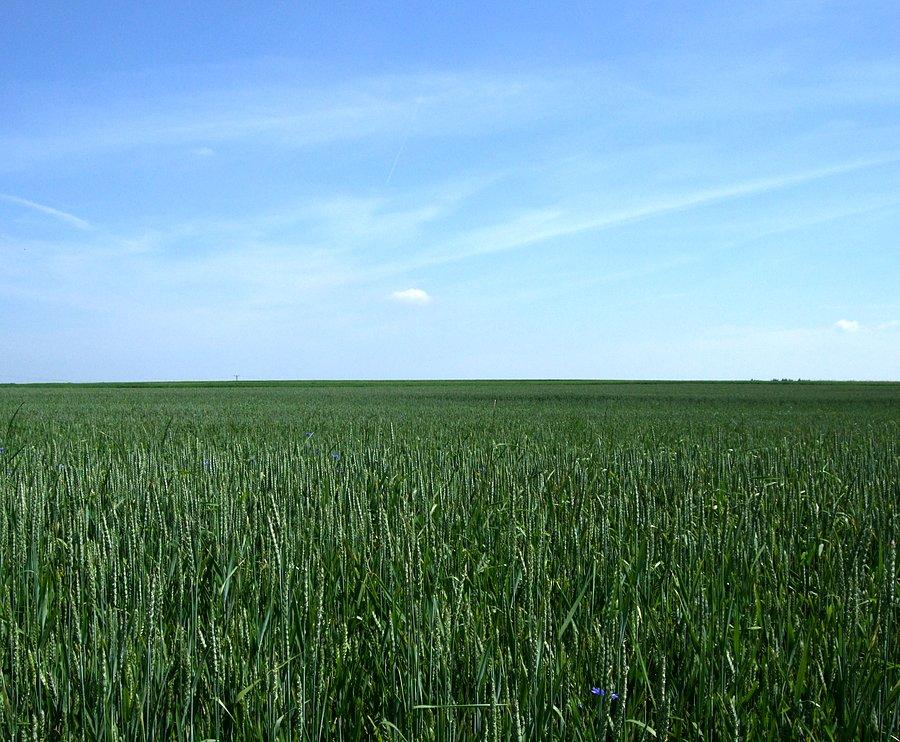 Błękitno-zielony spokój