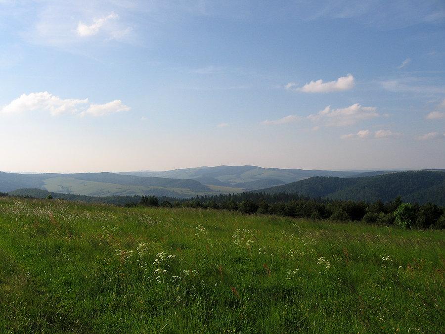 Żurawinka-Kuty