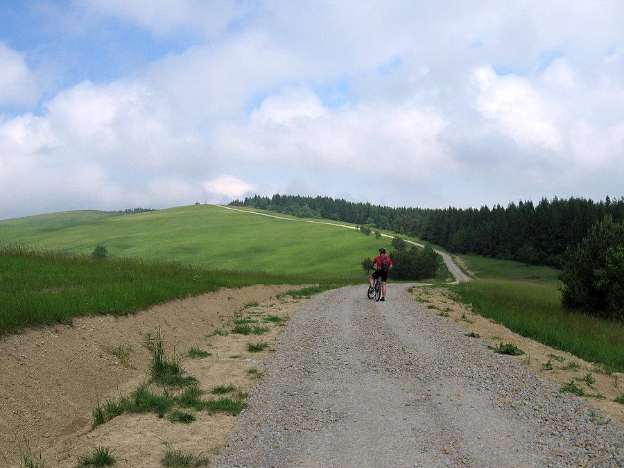 Droga na Rzepedkę (708 m.n.p.m)
