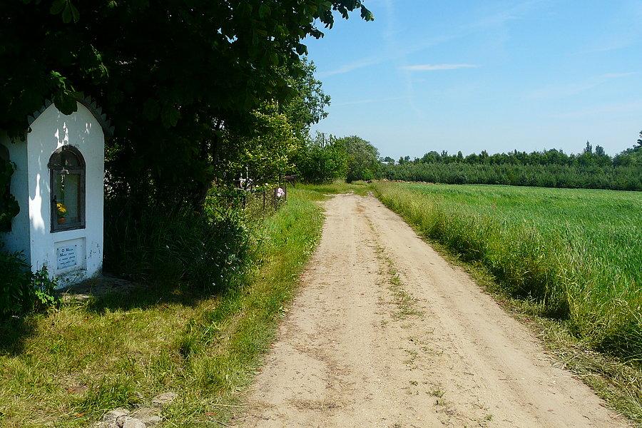 Skrzeszew