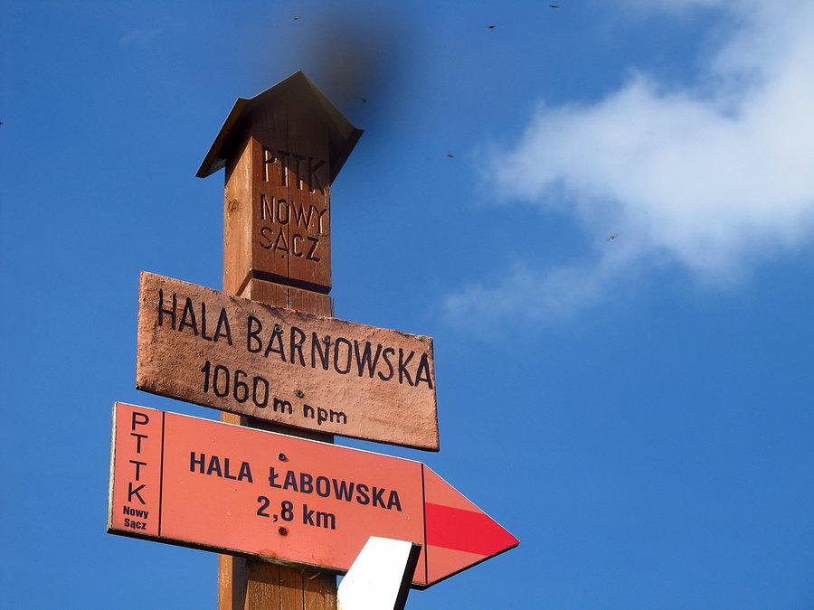 Hala Baranowska zdobyta od Łomnicy Zdrój