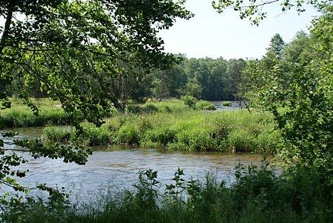 Leniuchowanie nad Pilicą