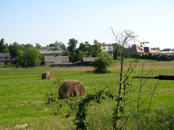 Łąki w Krężnicy Jarej