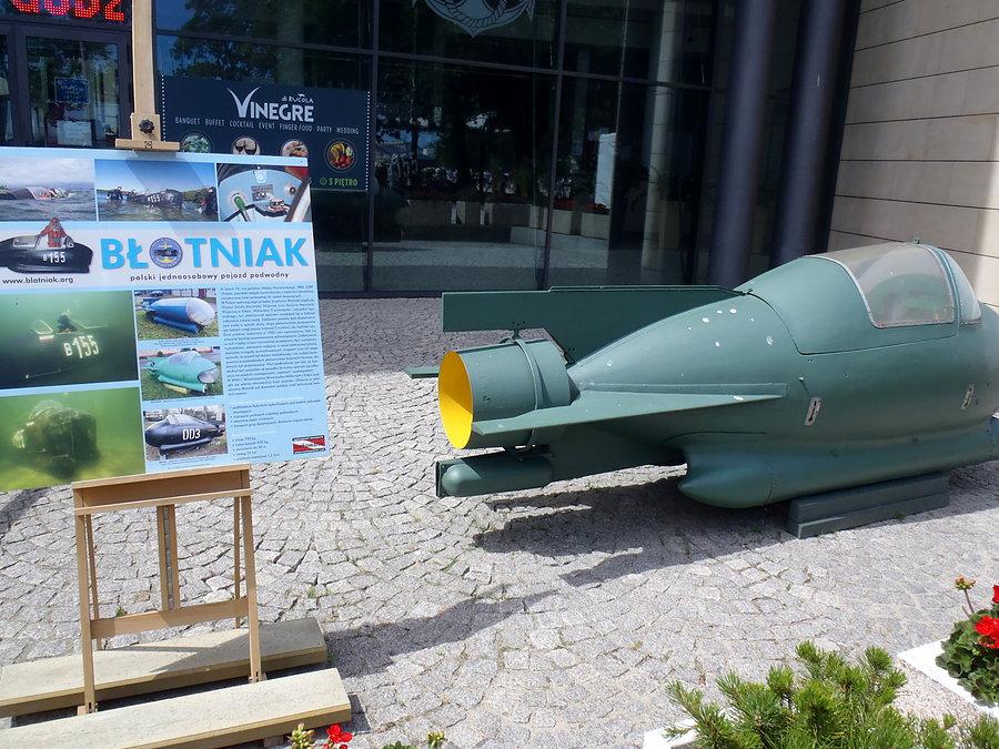 Błotniak przed Muzeum Marynaki Wojennej w Gdyni