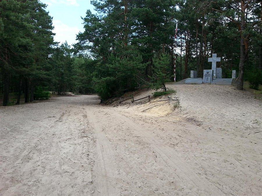Piasek nasz mazowiecki w Kampinosie