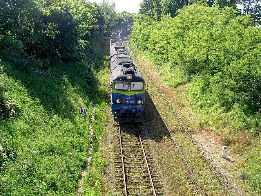 W oczekiwaniu na parowóz przejazd pociągu towarowego