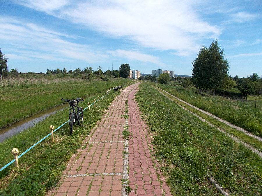 Rowerowa ścieżka botaniczna
