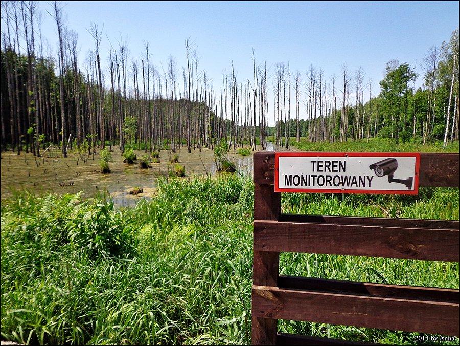 Monitorują Cię wszędzie!