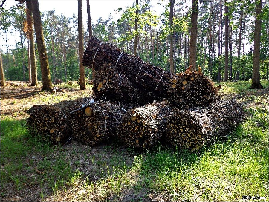 Śmieszne takie. Gdzie to wywiozą?