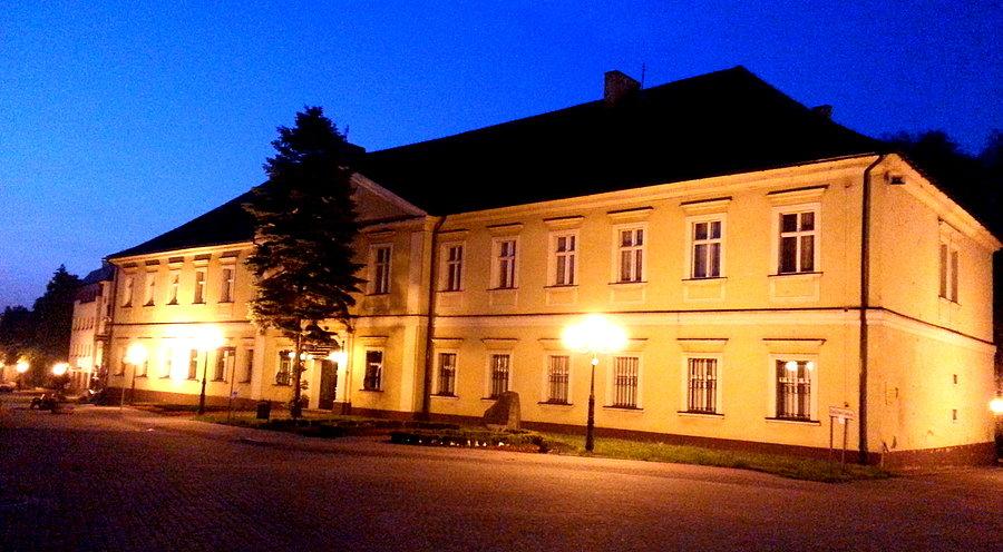 Zamek w Wodzisławiu