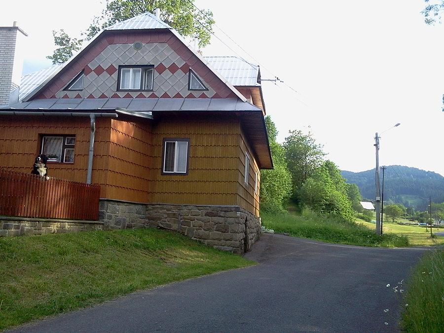 Koleś za płotem