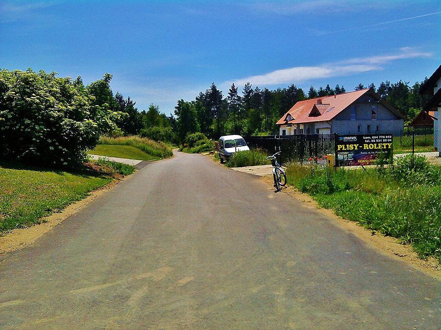 Na trasie wycieczki. Lubiszewo