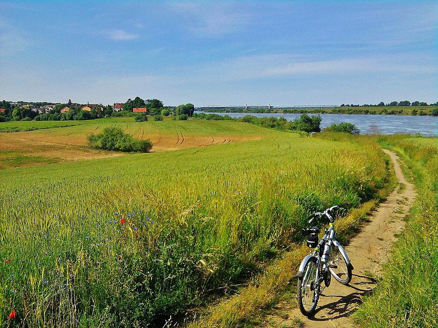 Na trasie wycieczki. Widok na Tczew i Wisłę