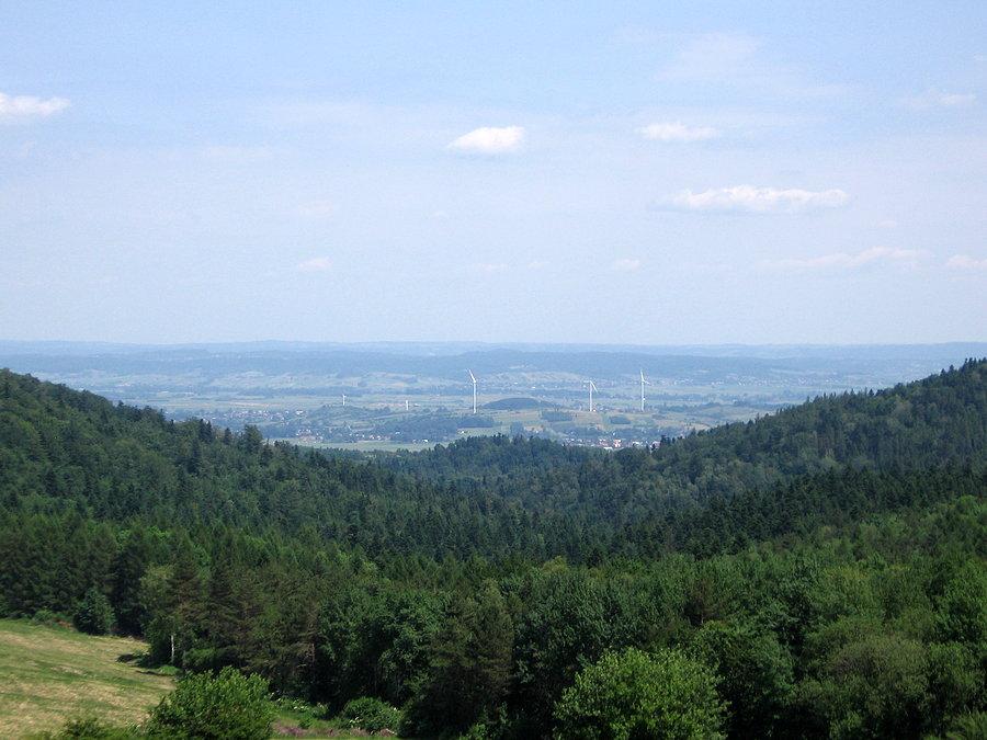Zbliżenie na wiatraki