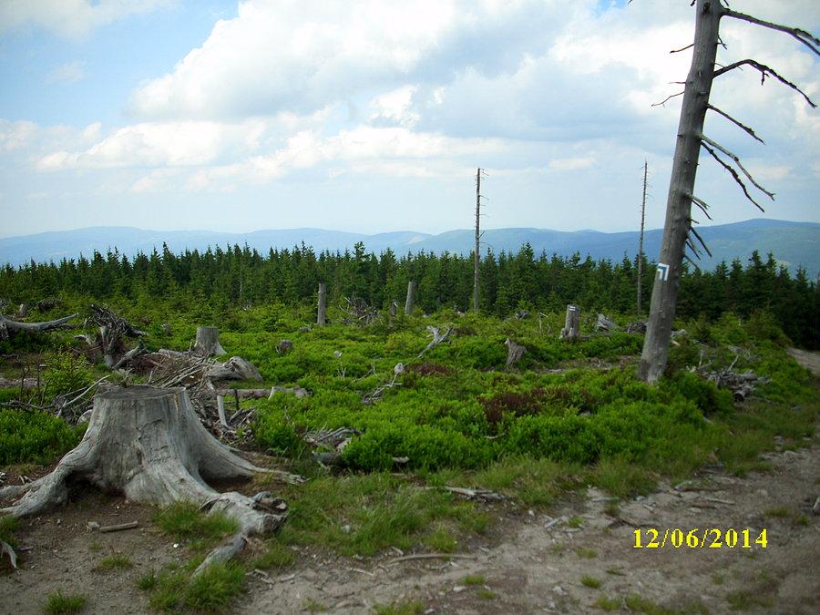 Widok z trasy niebieskiego szlaku do Kletna