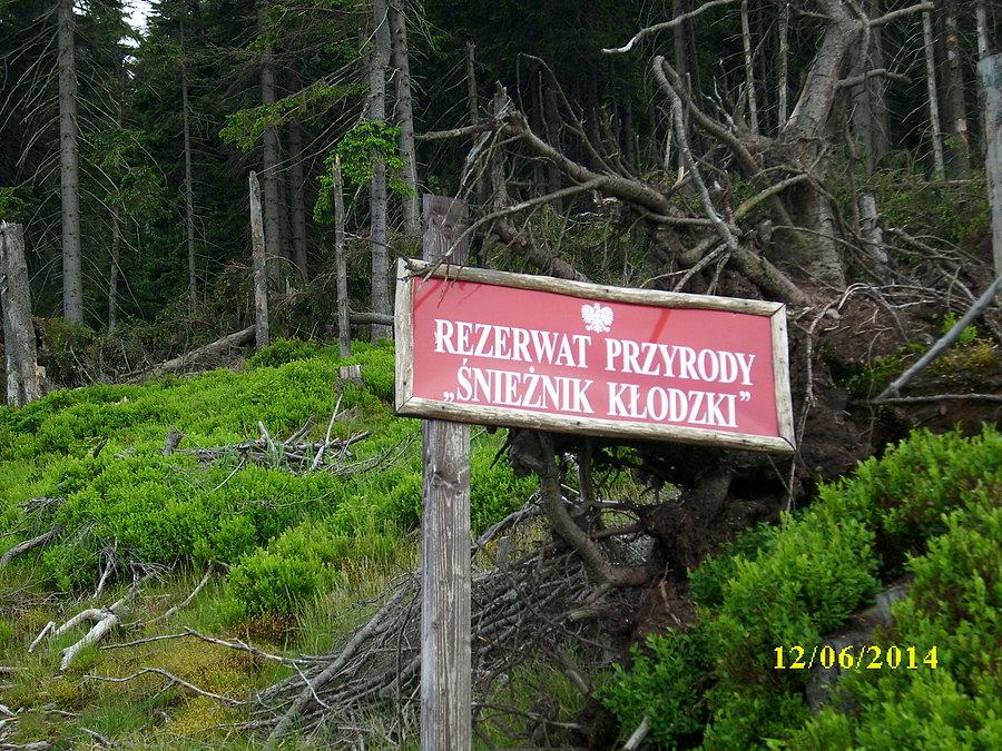 Blisko rezerwatu