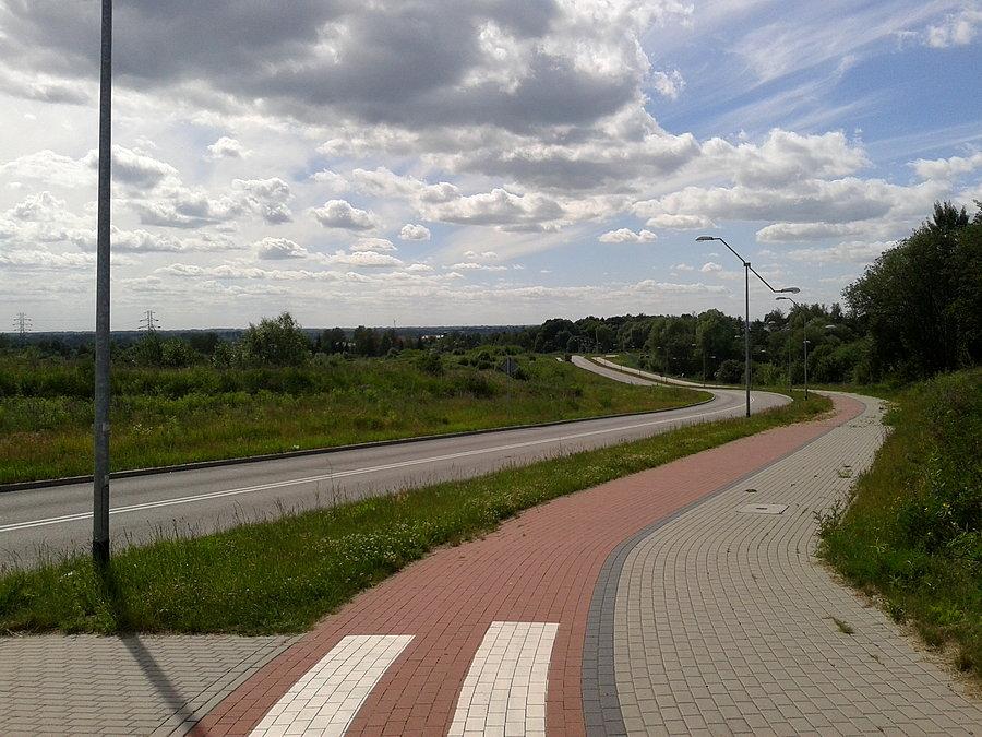 Na Modrzewinie