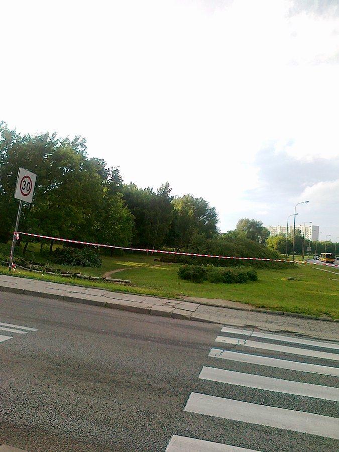 Zaczęła się wycinka drzew pod budowę linii tramwajowej