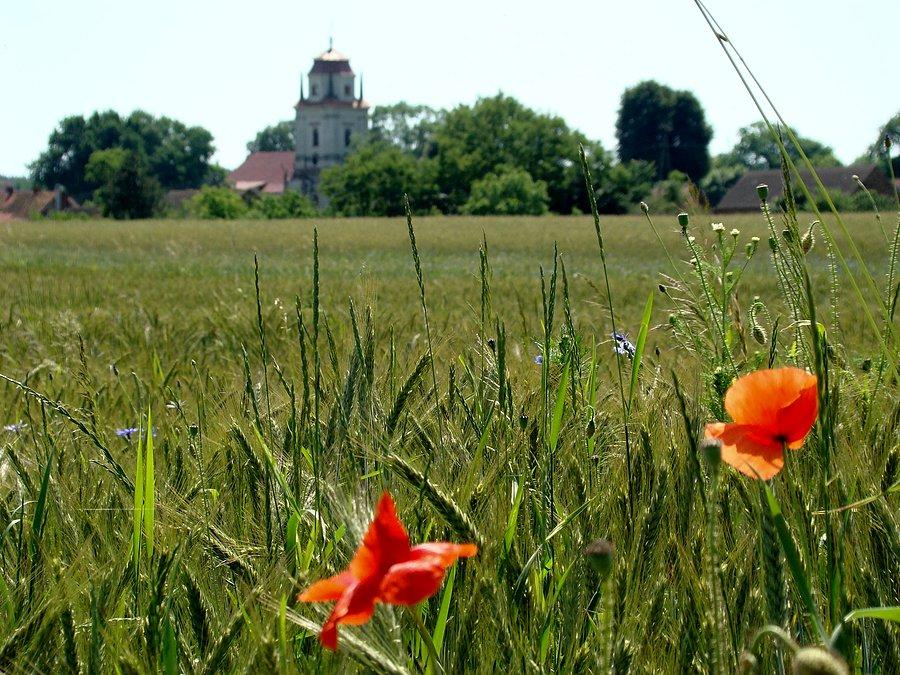 Krzydłowice