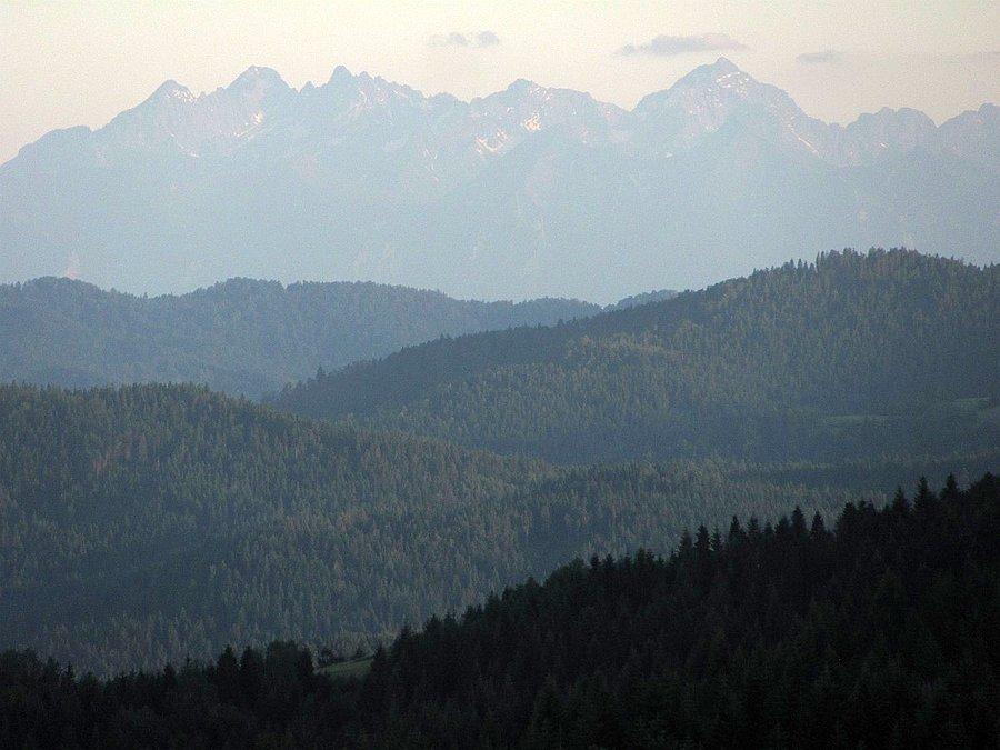 Tatry z Bukowiny