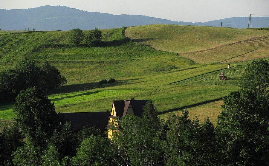 Landszafty Wyspowego