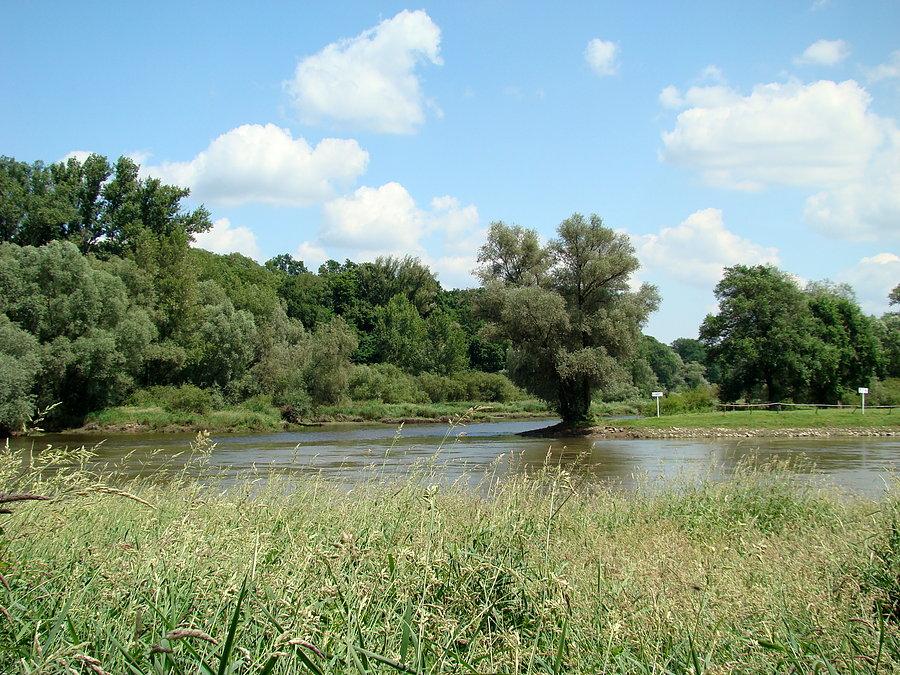 Spotkanie dwóch rzek - ujście Baryczy do Odry