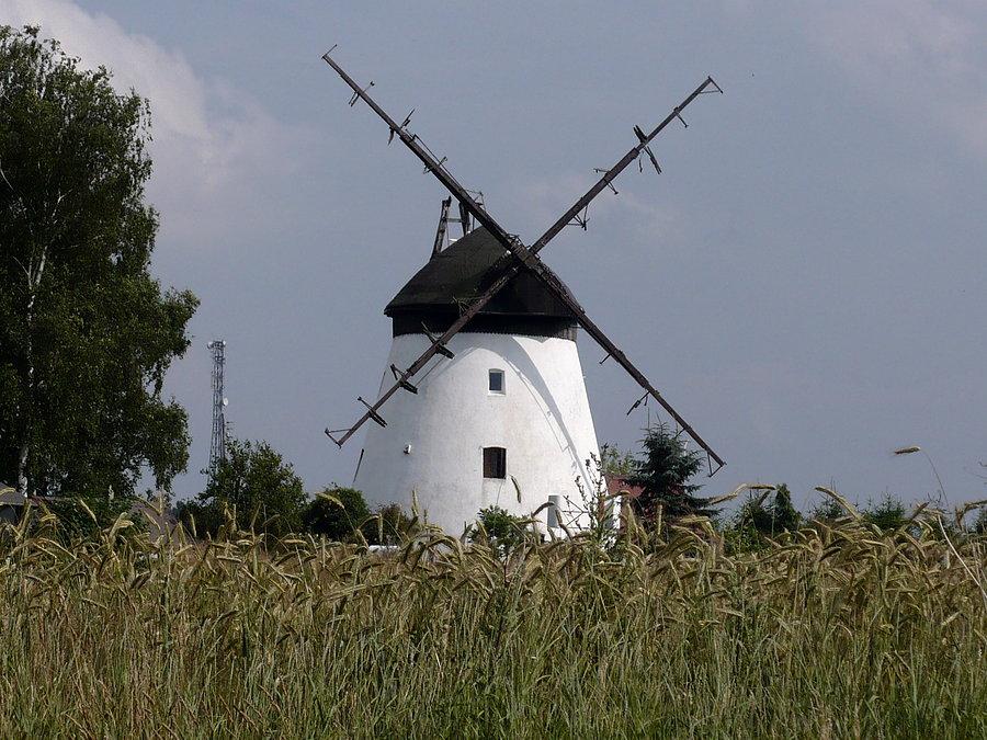 Gdzieś nad morzem