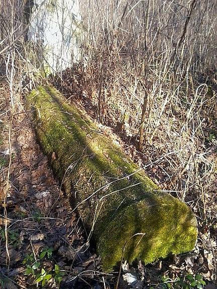 Stary cmentarz, okolice Pomiechówka