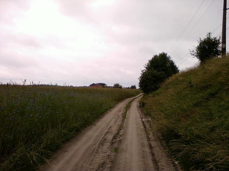 Wzdłuż torów kolejowych