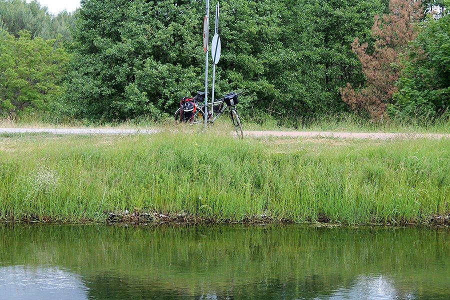 Mój rumak na drugim brzrgu Brdy