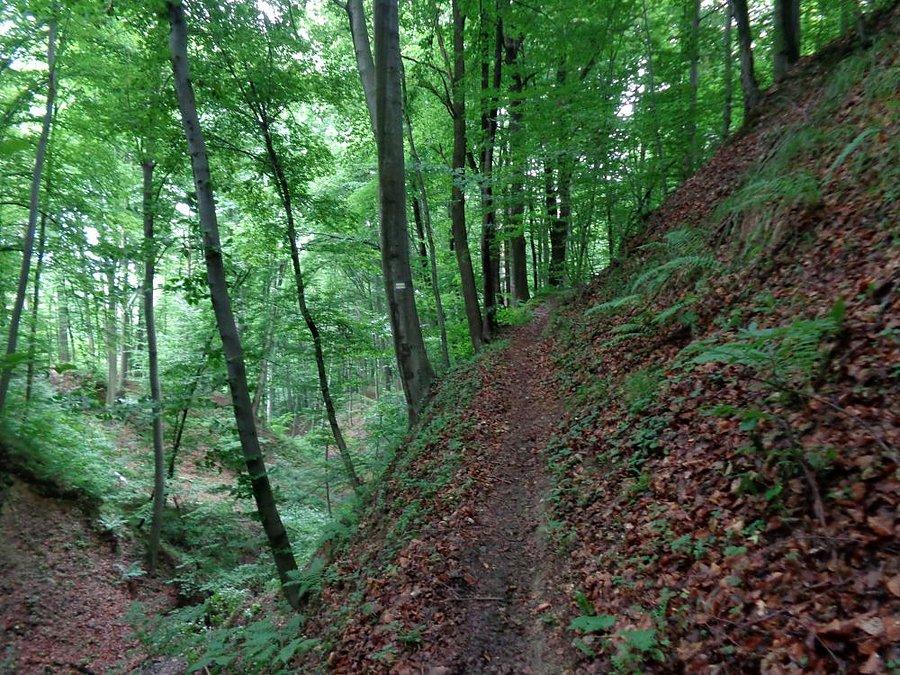 Nad przepajścią