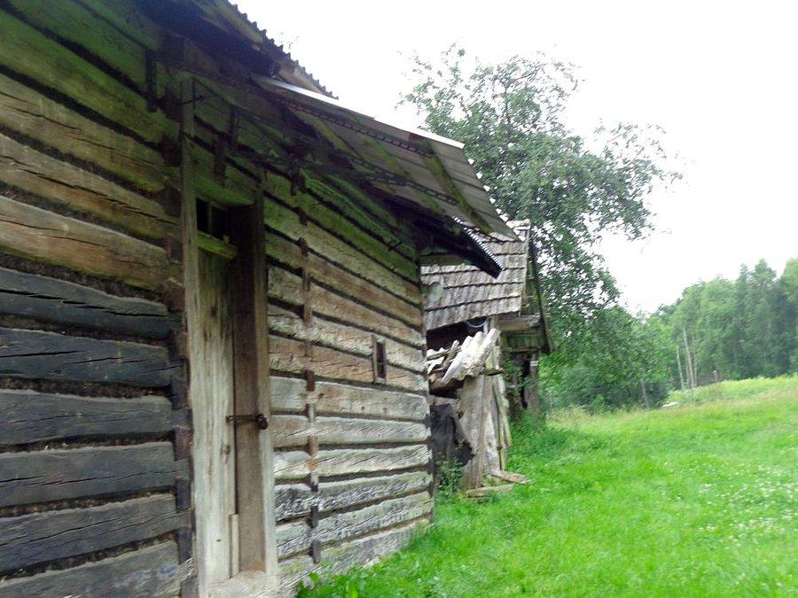 Ukryty żółty szlak