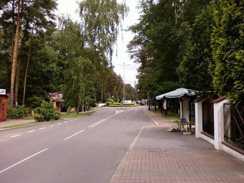 Sokolniki