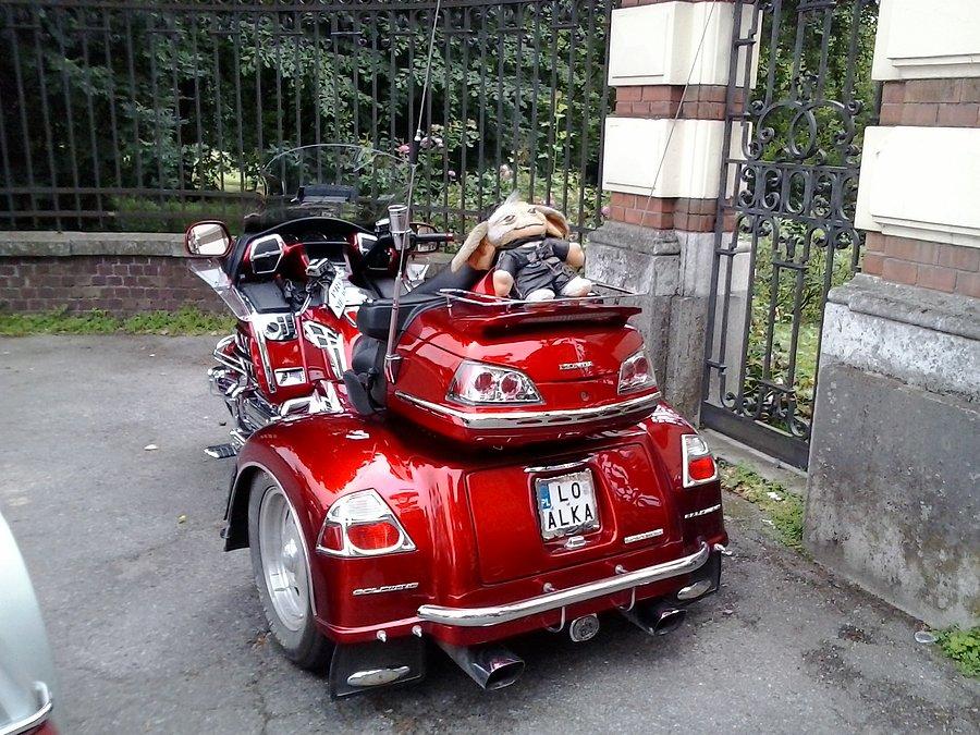 Gremlin na Goldwingu