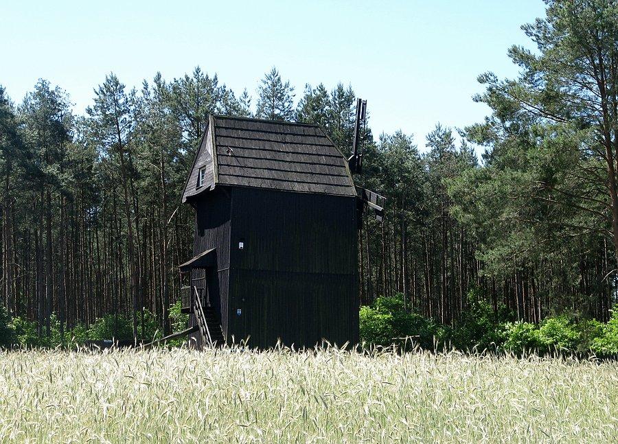 Wiatrak w Ostrowie