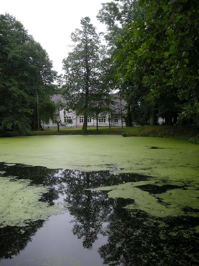 Giebło - staw przy dworku