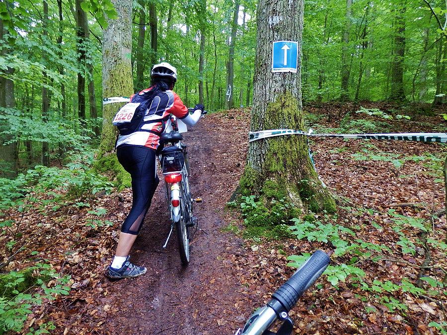 Skandia Maraton Lang Team Bytów 2014 r